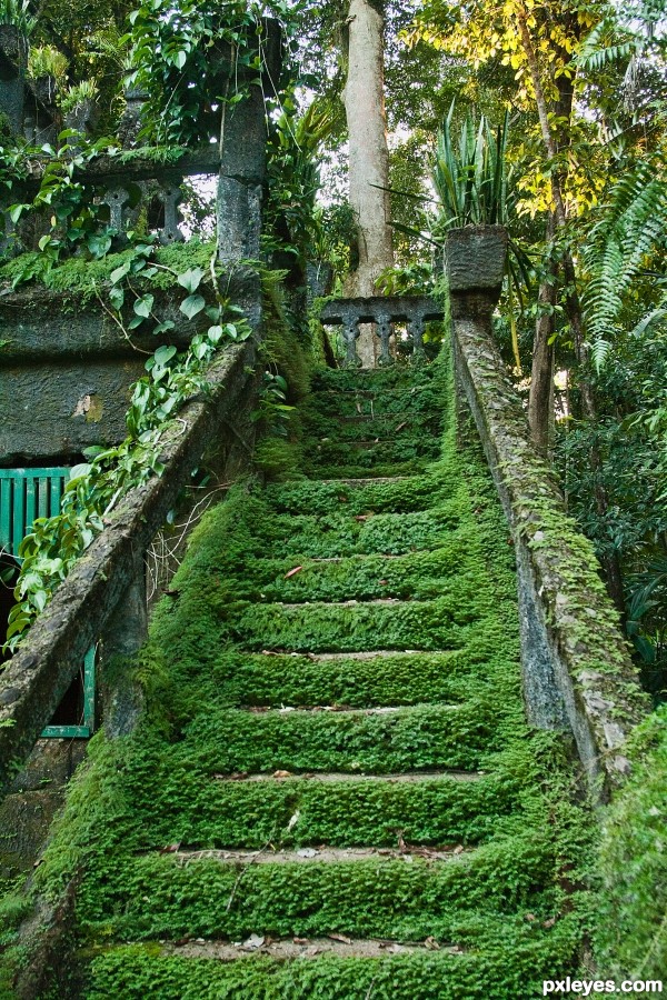 green stairs